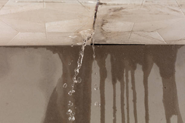 Professional Burst Pipe Cleanup technician working in Rio Grande, NJ